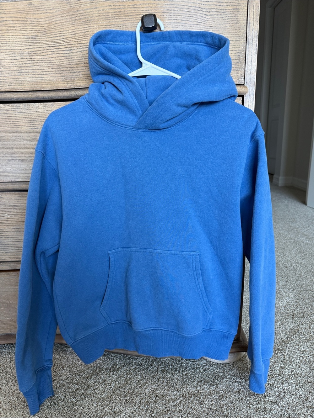Aritzia Blue Hoodie Sweatshirt - Picture 1 of 1